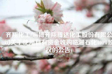 齐翔化工(淄博齐翔腾达化工股份有限公司关于使用自有资金收购临淄石化100%股权的公告)