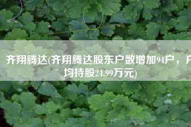 齐翔腾达(齐翔腾达股东户数增加94户，户均持股24.99万元)