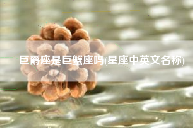 巨爵座是巨蟹座吗(星座中英文名称)