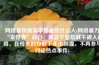 网络暴民现实中都是些什么人(网络暴力“幸存者”自白：风波平息后就不被人记得，在母亲的安慰下走出阴霾，不再参与讨论热点事件)
