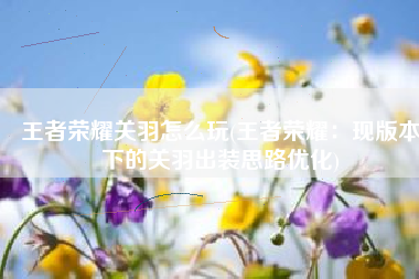 王者荣耀关羽怎么玩(王者荣耀：现版本下的关羽出装思路优化)