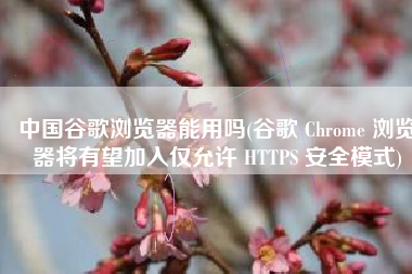 中国谷歌浏览器能用吗(谷歌 Chrome 浏览器将有望加入仅允许 HTTPS 安全模式)
