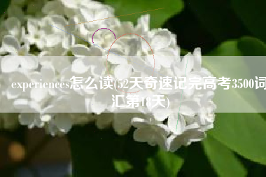experiences怎么读(52天奇速记完高考3500词汇第18天)