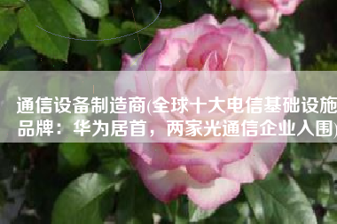 通信设备制造商(全球十大电信基础设施品牌：华为居首，两家光通信企业入围)