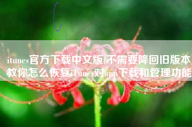 itunes官方下载中文版(不需要降回旧版本，教你怎么恢复iTunes对app下载和管理功能)