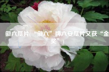 徽六瓜片(“徽六”牌六安瓜片又获“金奖”)