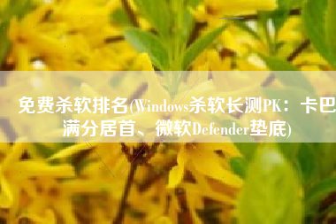 免费杀软排名(Windows杀软长测PK：卡巴满分居首、微软Defender垫底)