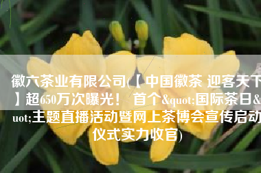 徽六茶业有限公司(【中国徽茶 迎客天下】超650万次曝光！ 首个"国际茶日"主题直播活动暨网上茶博会宣传启动仪式实力收官)