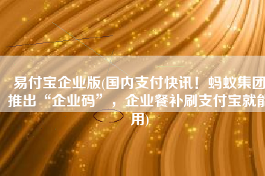 易付宝企业版(国内支付快讯！蚂蚁集团推出“企业码”，企业餐补刷支付宝就能用)
