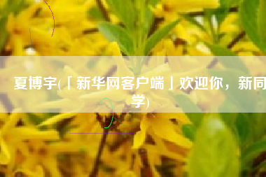 夏博宇(「新华网客户端」欢迎你，新同学)