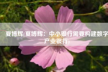 夏博辉(夏博辉：中小银行需要构建数字产业银行)