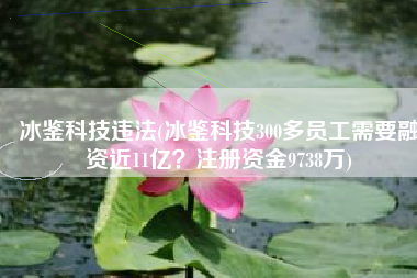 冰鉴科技违法(冰鉴科技300多员工需要融资近11亿？注册资金9738万)