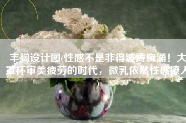 丰胸设计图(性感不是非得波涛胸涌！大罩杯审美疲劳的时代，微乳依然性感撩人)