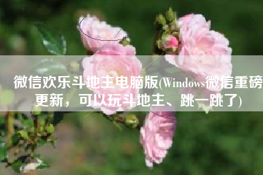 微信欢乐斗地主电脑版(Windows微信重磅更新，可以玩斗地主、跳一跳了)