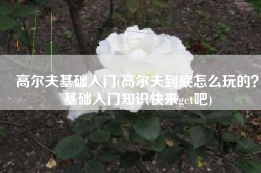 高尔夫基础入门(高尔夫到底怎么玩的？基础入门知识快来get吧)