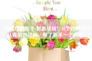 吃鸡攻略新手(刺激战场：18个吃鸡技巧，从青铜到战神，帮了新手一个大忙！)