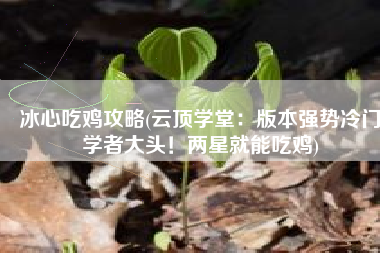 冰心吃鸡攻略(云顶学堂：版本强势冷门学者大头！两星就能吃鸡)