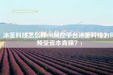 冰鉴科技怎么样(AI风控平台冰鉴科技为何频受资本青睐？)