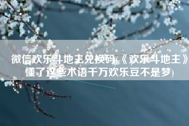微信欢乐斗地主兑换码(《欢乐斗地主》懂了这些术语千万欢乐豆不是梦)