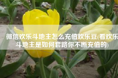 微信欢乐斗地主怎么充值欢乐豆(看欢乐斗地主是如何套路你不断充值的)