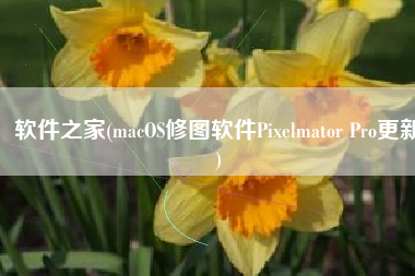 软件之家(macOS修图软件Pixelmator Pro更新)