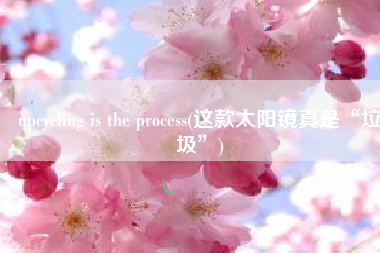upcycling is the process(这款太阳镜真是“垃圾”)
