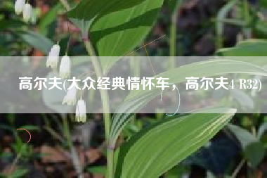 高尔夫(大众经典情怀车，高尔夫4 R32)