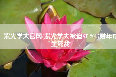 紫光学大官网(紫光学大被迫ST 2017财年成生死战)