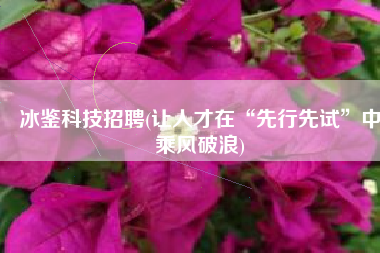 冰鉴科技招聘(让人才在“先行先试”中乘风破浪)