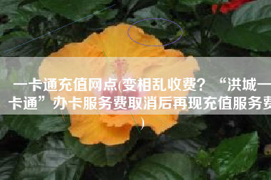 一卡通充值网点(变相乱收费？“洪城一卡通”办卡服务费取消后再现充值服务费)