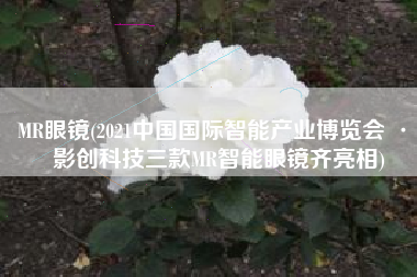 MR眼镜(2021中国国际智能产业博览会 · 影创科技三款MR智能眼镜齐亮相)
