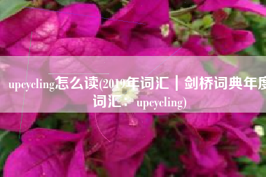 upcycling怎么读(2019年词汇｜剑桥词典年度词汇：upcycling)