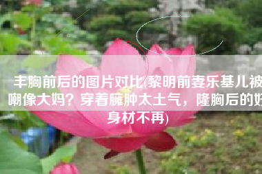 丰胸前后的图片对比(黎明前妻乐基儿被嘲像大妈？穿着臃肿太土气，隆胸后的好身材不再)