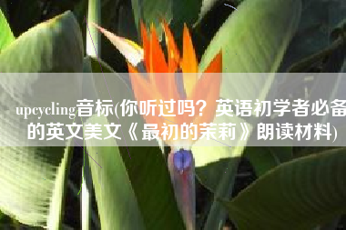 upcycling音标(你听过吗？英语初学者必备的英文美文《最初的茉莉》朗读材料)