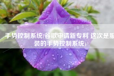 手势控制系统(谷歌申请新专利 这次是服装的手势控制系统)