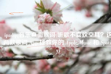 ipadqq音乐桌面歌词(听歌不喜欢空耳？这两款歌词 App 拯救你的 Apple Music 和 Spotify)