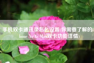 手机双卡通讯录怎么设置(你需要了解的iPhone Xs/Xs Max双卡功能详情)