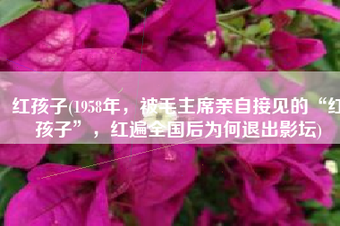 红孩子(1958年，被毛主席亲自接见的“红孩子”，红遍全国后为何退出影坛)
