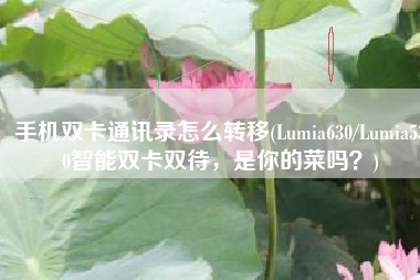 手机双卡通讯录怎么转移(Lumia630/Lumia530智能双卡双待，是你的菜吗？)
