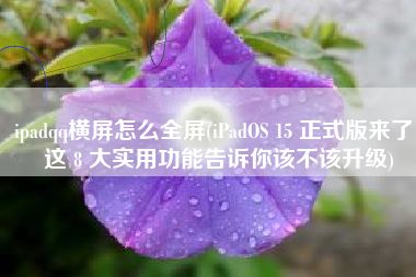 ipadqq横屏怎么全屏(iPadOS 15 正式版来了，这 8 大实用功能告诉你该不该升级)