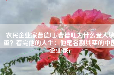 农民企业家曹德旺(曹德旺为什么受人敬重？看完他的人生：他是名副其实的中国企业家)