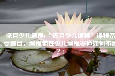探月少儿编程(“探月少儿编程”课程备受瞩目，编程猫在少儿编程赛道如何布局？)