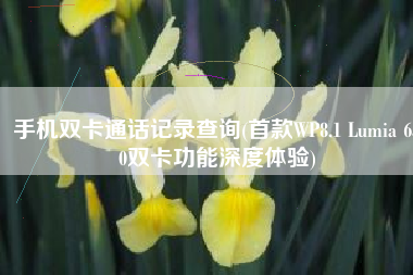 手机双卡通话记录查询(首款WP8.1 Lumia 630双卡功能深度体验)