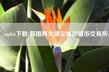 upbit下载(韩国两大顶尖虚拟货币交易所)