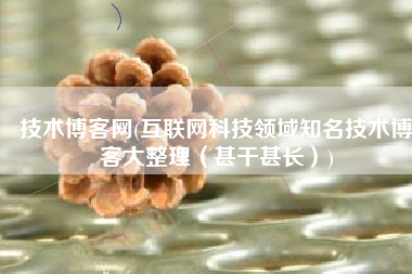 技术博客网(互联网科技领域知名技术博客大整理（甚干甚长）)