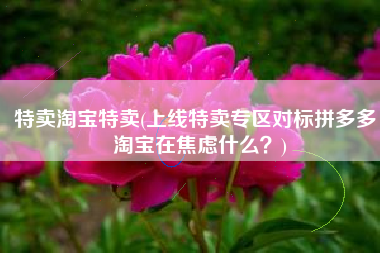 特卖淘宝特卖(上线特卖专区对标拼多多，淘宝在焦虑什么？)
