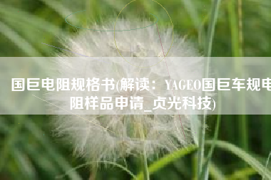 国巨电阻规格书(解读：YAGEO国巨车规电阻样品申请_贞光科技)