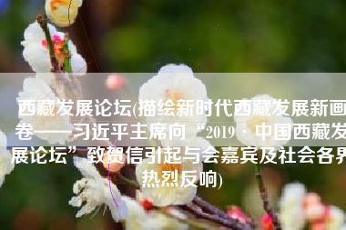 西藏发展论坛(描绘新时代西藏发展新画卷——习近平主席向“2019·中国西藏发展论坛”致贺信引起与会嘉宾及社会各界热烈反响)