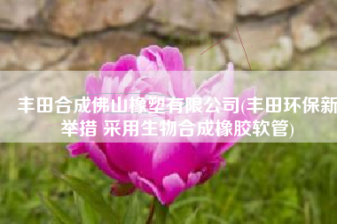 丰田合成佛山橡塑有限公司(丰田环保新举措 采用生物合成橡胶软管)