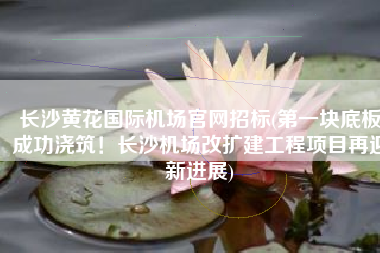 长沙黄花国际机场官网招标(第一块底板成功浇筑！长沙机场改扩建工程项目再迎新进展)